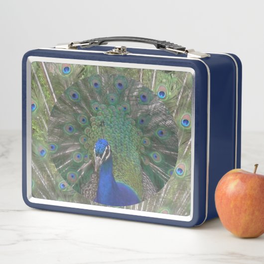 Peacock Lunchbox (In situ)