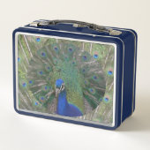 Peacock Lunchbox (Achterkant)
