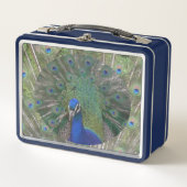 Peacock Lunchbox (Voorkant)
