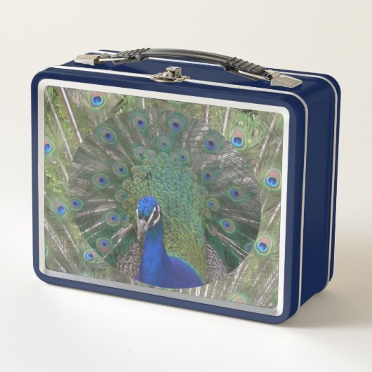 Peacock Lunchbox (Voorkant)