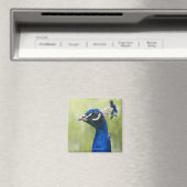 Peacock Magneet (Insitu (Vaatwasser))