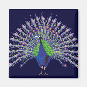 Peacock Magnets Magneet