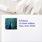  Peacock Mailing Label (Insitu)
