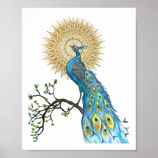Peacock Mandala 8x10 afdrukken Poster (Voorkant)
