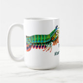 Peacock Mantis Shrimp Mok (Links)