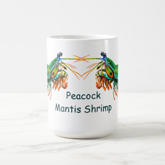 Peacock Mantis Shrimp Mok