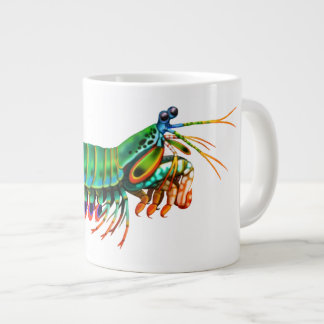 Peacock Mantis Shrimp Reef Animal Specialty Mok