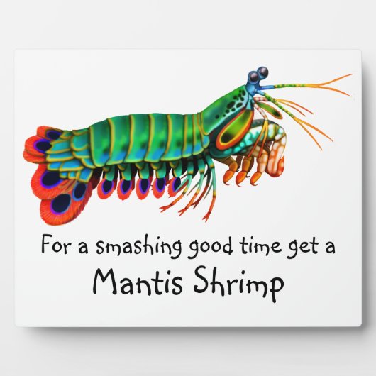 Peacock Mantis Shrimp Reef Creature Plaque Fotoplaat (Voorkant)
