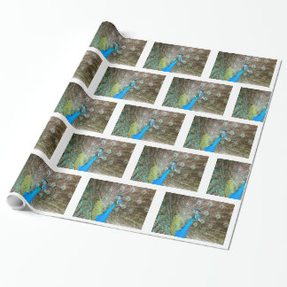 Peacock met Feathers Fanned - Wildlife Bird Foto Cadeaupapier