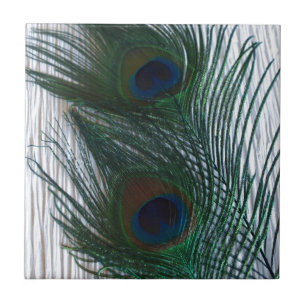 Peacock met wit tegeltje