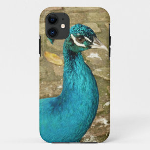 Peacock Mooie Natuur Fotografie iPhone 11 Hoesje
