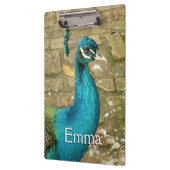 Peacock Mooie Natuur Fotografie Klembord (Links)