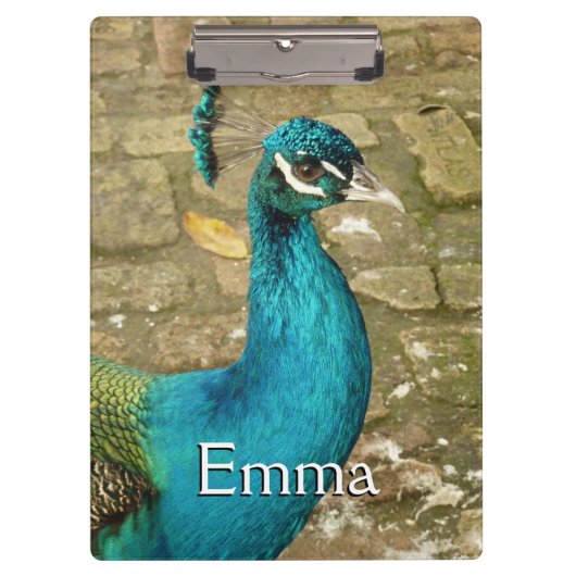 Peacock Mooie Natuur Fotografie Klembord (Voorkant)