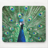 Peacock Mousepad Muismat (Voorkant)