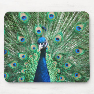 Peacock Mousepad Muismat