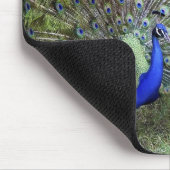 Peacock Mousepad Muismat (Hoek)