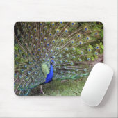 Peacock Mousepad Muismat (Met muis)