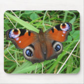 Peacock Mousepad Muismat (Voorkant)