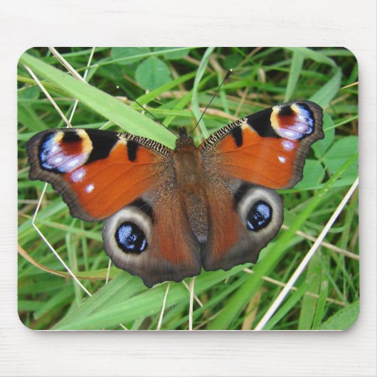 Peacock Mousepad Muismat (Voorkant)