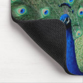 Peacock, mousepad muismat (Hoek)