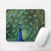 Peacock, mousepad muismat (Met muis)