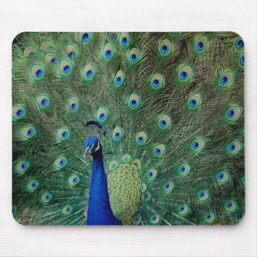 Peacock, mousepad muismat (Voorkant)