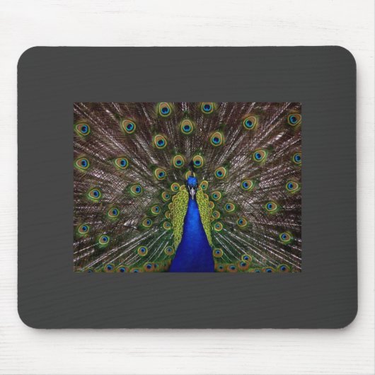 Peacock Mousepad Muismat (Voorkant)
