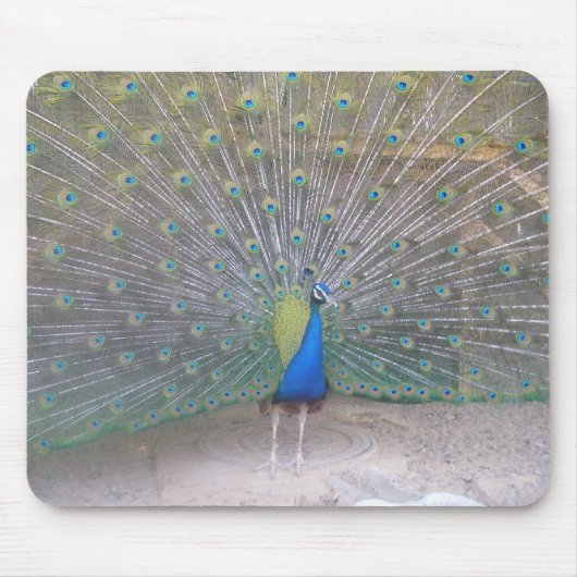 Peacock Muismat (Voorkant)