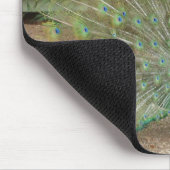 Peacock Muismat (Hoek)