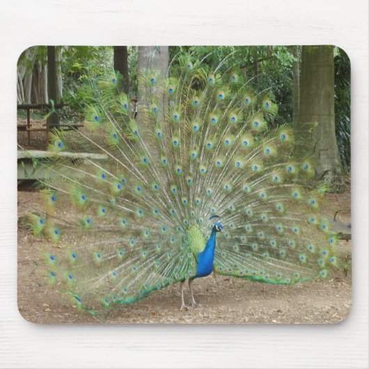 Peacock Muismat (Voorkant)