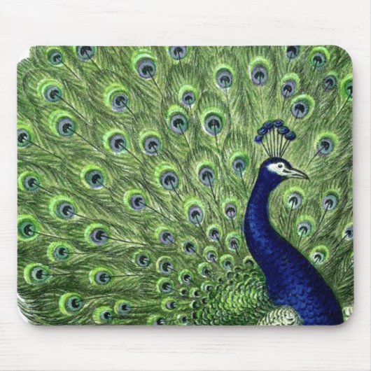  Peacock Muismat (Voorkant)