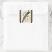  Peacock Natuurhistorisch Print Vierkante Sticker (Tas)