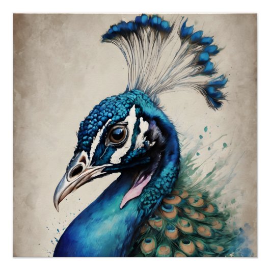 Peacock no 6 Glanzend Poster Perfect Poster (Voorkant)