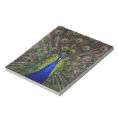 Peacock Notitieblok (Gedraaid)