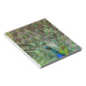 Peacock Notitieblok (Schuin)