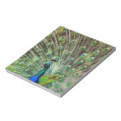 Peacock Notitieblok (Gedraaid)