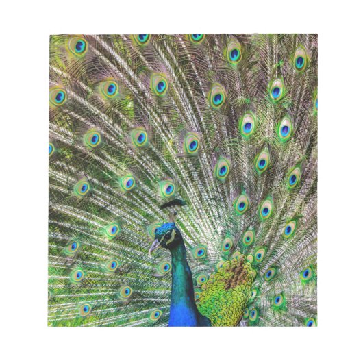 Peacock Notitieblok (Voorkant)