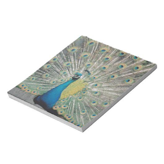 Peacock Notitieblok (Gedraaid)