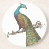  Peacock-Onderzetters Zandsteen Onderzetter (Voorkant)