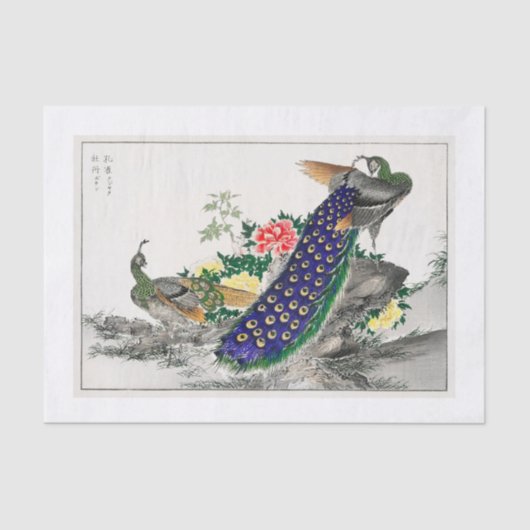 Peacock-ontkoppelpapier Tissuepapier (Voorkant)