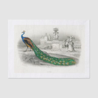 Peacock-ontkoppelpapier Tissuepapier