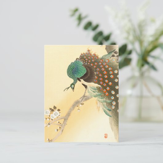 Peacock op kersenbloesem ++ Ohara Koson - Briefkaart (Staand voorkant)