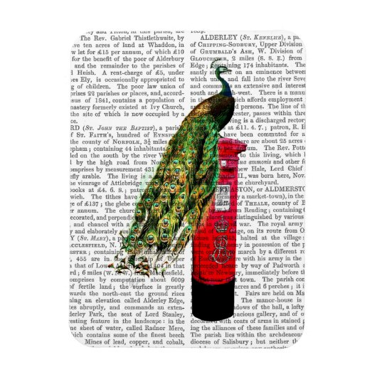 Peacock op postvak magneet (Verticaal)