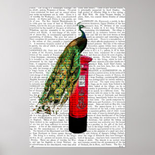 Peacock op postvak poster