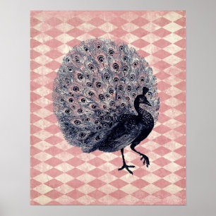 Peacock op Roze Argyle Poster