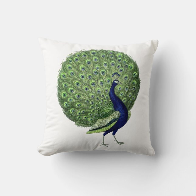 Peacock Open Fan Kussen (Voorkant)