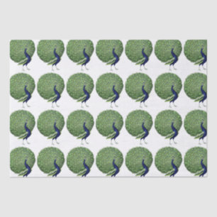 Peacock Open Fan Tissuepapier