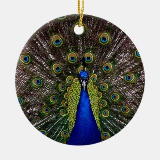 Peacock Ornament (Voorkant)