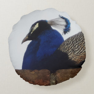 Peacock over de muur rondreis rond kussen