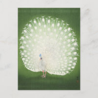Peacock Painting par Ohara Koson Carte Postale
